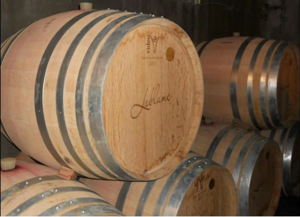 Barriques du Domaine Leblanc