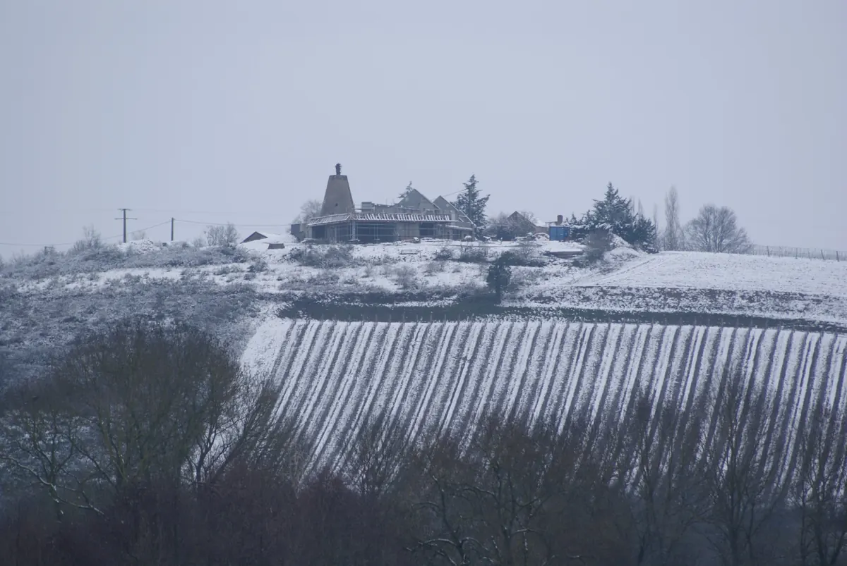 Coteaux du Layon Faye La Placette enneigée